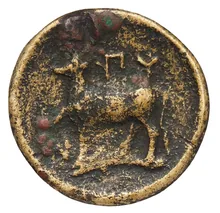 coin rev