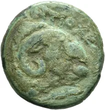 coin rev