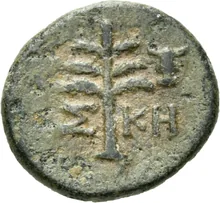 coin rev