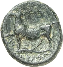 coin rev