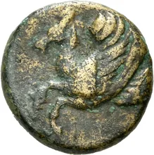 coin obv