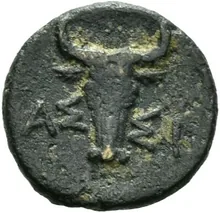 coin rev