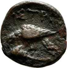 coin rev