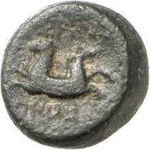 coin rev