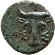 coin rev