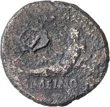 coin rev