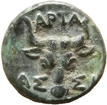 coin rev