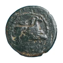 coin obv