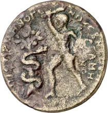 coin rev