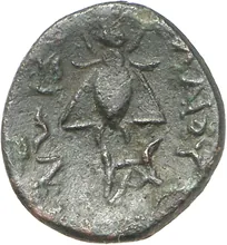 coin rev