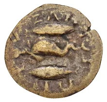 coin rev