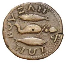 coin rev