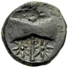 coin rev