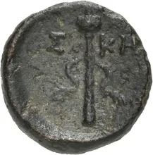 coin rev