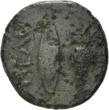 coin rev
