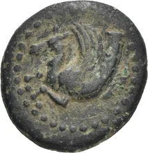coin obv
