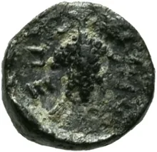 coin rev