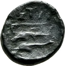 coin rev