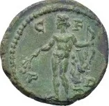 coin rev