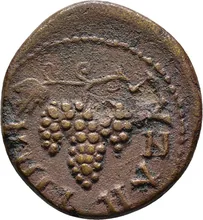 coin rev