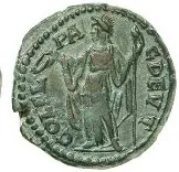 coin rev
