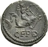 coin rev