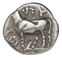 coin obv