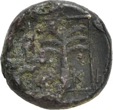 coin rev