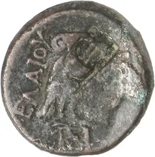 coin rev