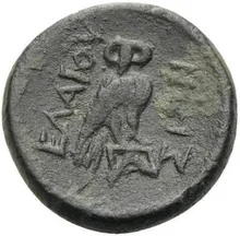 coin rev