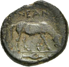 coin rev