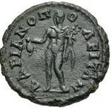 coin rev
