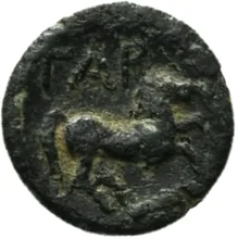 coin rev
