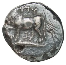 coin obv