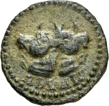 coin rev