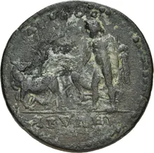 coin rev