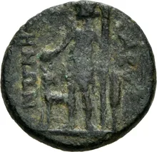 coin rev