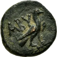 coin rev
