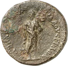 coin rev
