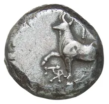 coin obv