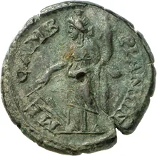 coin rev