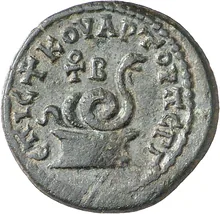 coin rev
