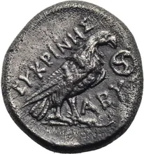 coin rev
