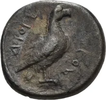 coin rev