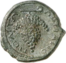 coin rev