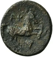 coin rev