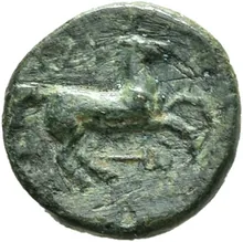 coin rev