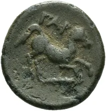 coin rev