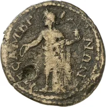 coin rev
