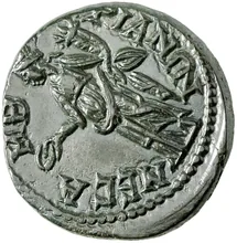 coin rev